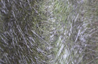 Brackenlands fibreglass roof work